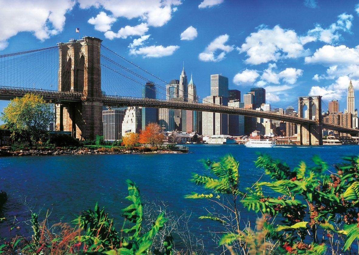 puzzle nueva york 3000 piezas